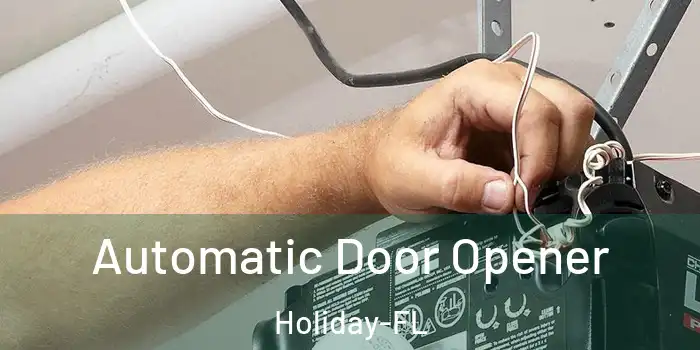  Automatic Door Opener Holiday-FL