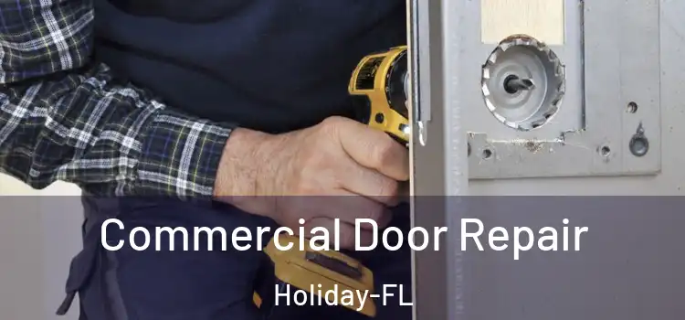  Commercial Door Repair Holiday-FL