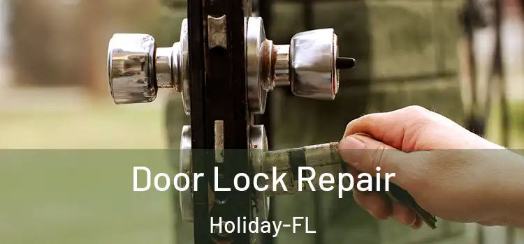  Door Lock Repair Holiday-FL