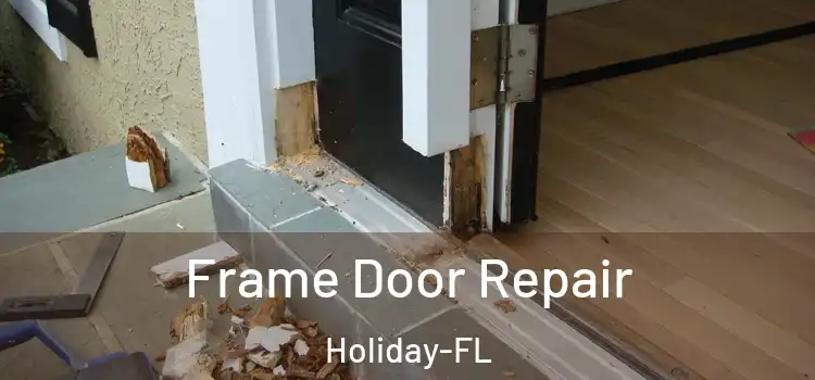  Frame Door Repair Holiday-FL