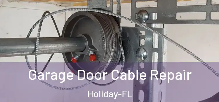  Garage Door Cable Repair Holiday-FL