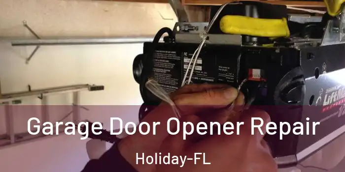  Garage Door Opener Repair Holiday-FL