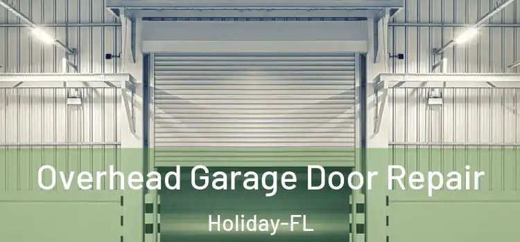  Overhead Garage Door Repair Holiday-FL