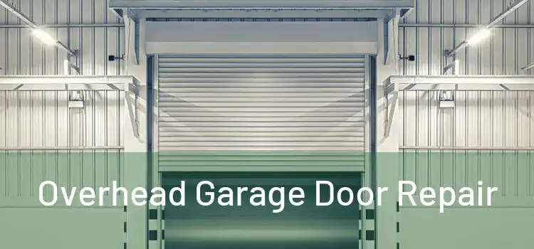  Overhead Garage Door Repair 