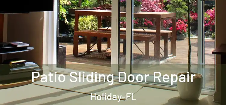 Patio Sliding Door Repair Holiday-FL