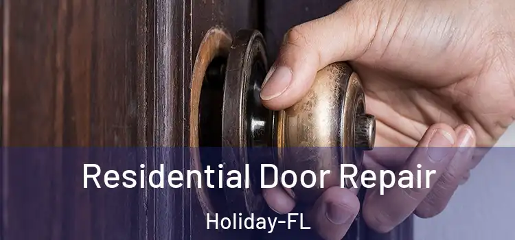  Residential Door Repair Holiday-FL