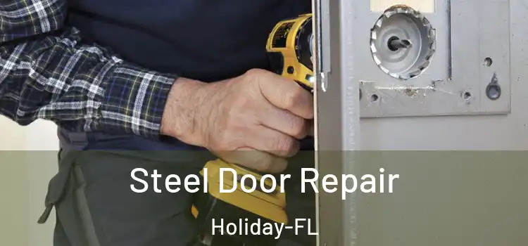  Steel Door Repair Holiday-FL