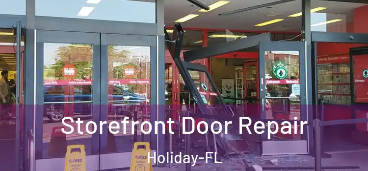  Storefront Door Repair Holiday-FL